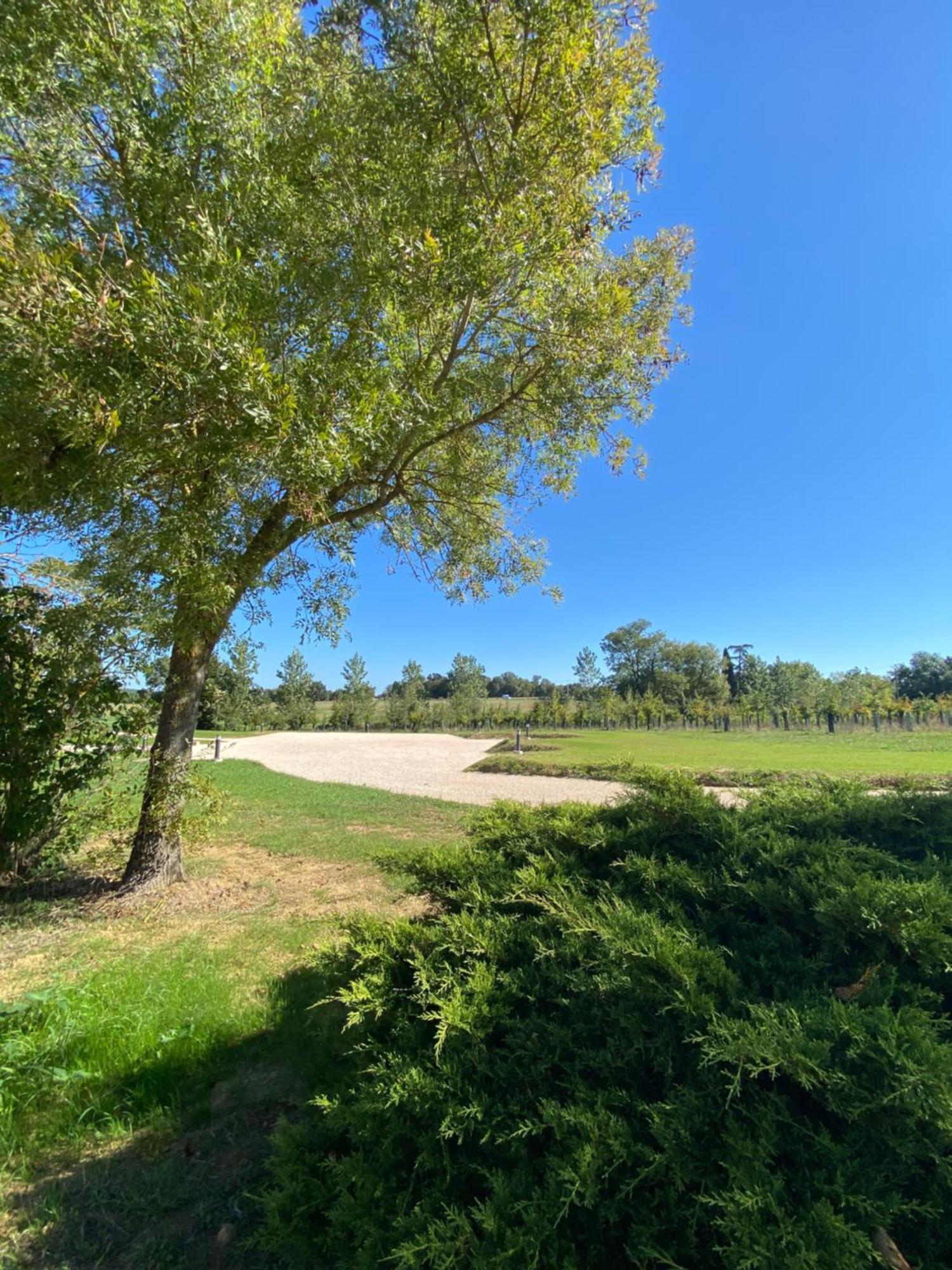 Gite Clara - Domaine Du Catalan Aubiet Exterior photo